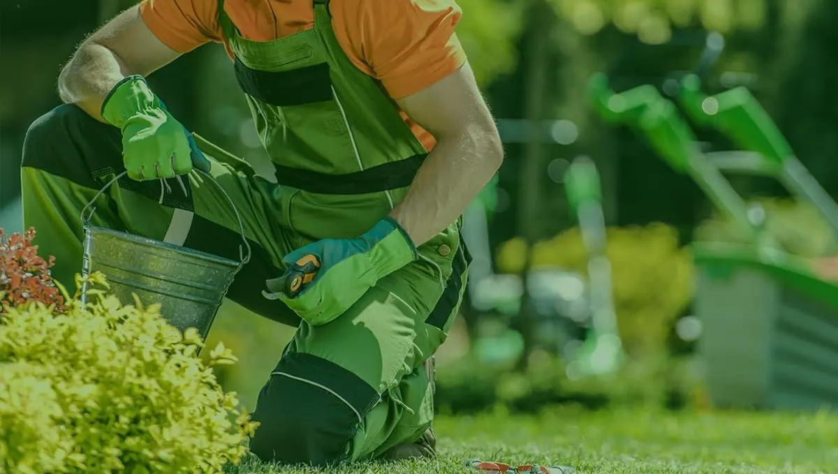 Tree & Garden Care